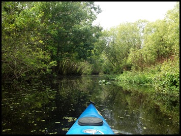 Paddle to Hontoon 012