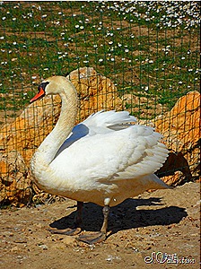 [SAM_0214%255B5%255D.jpg]