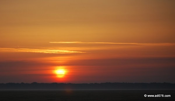 63.jpg