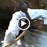 cave 3.mp4