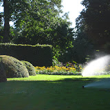 A walk around the park