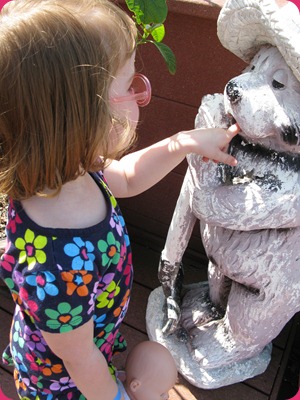 IMG_2048 IMG_2048