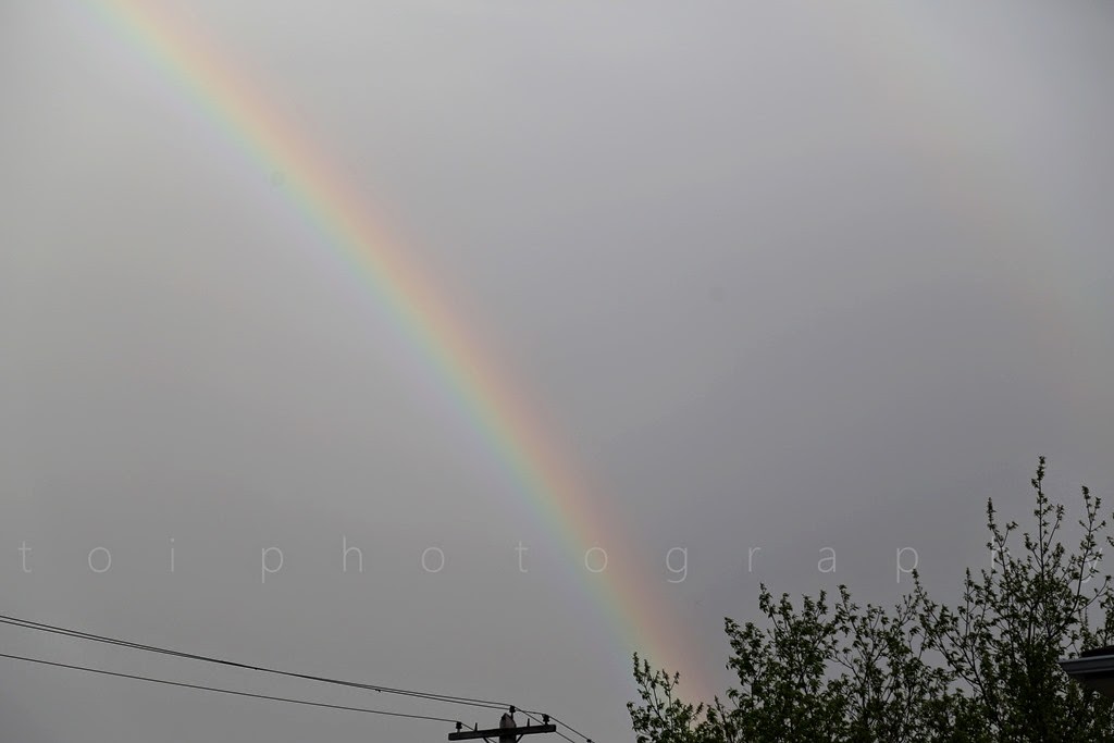 [rainbow-1-copy4.jpg]