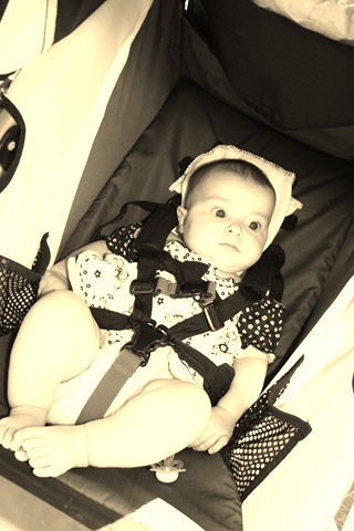 [IMG_1538%255B9%255D.jpg]