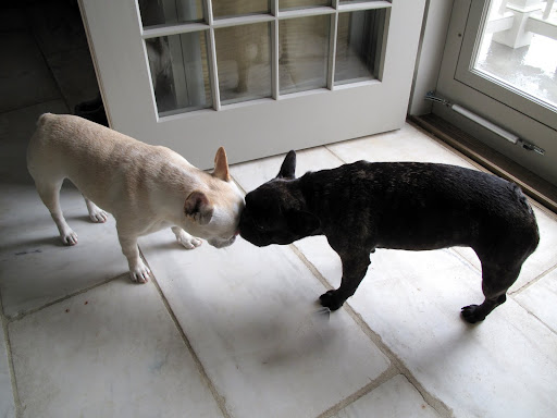 Sharkey, let's put our heads together on this one.  You know what they say - two heads are better than one.