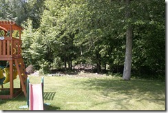 IMG_5452 IMG_5452