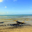 Cape Tribulation Beach - Oak Beach, Australia