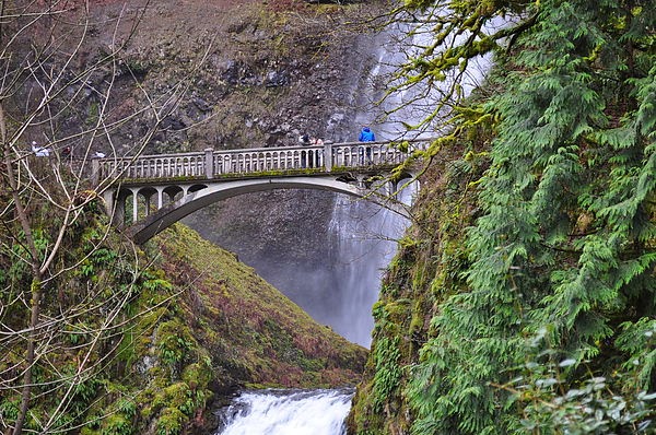 DSC_0093.JPG DSC_0093.JPG