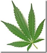 leaf leaf