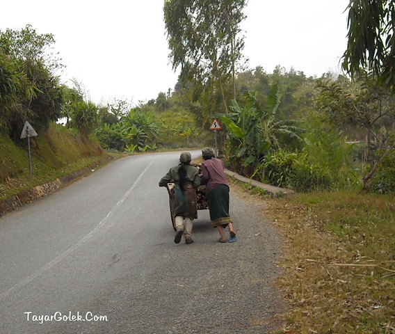 [DSCN80803.jpg]