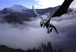 Black Dragon N Flying
