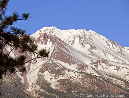 Shasta from RV Park