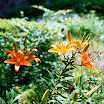 20070614027-1.jpg