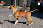 Karmacoma Fun-Da-Panda 8 months