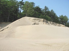 bog sand pile