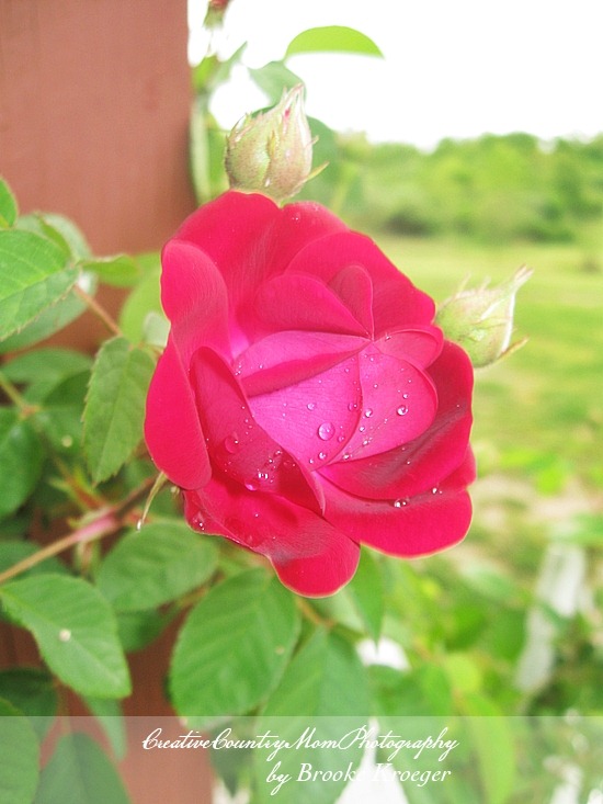 [IMG_3711%255B2%255D.jpg]