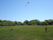 Kai flying his kite at Brenton Point in Newport - that's Eidan running nearby