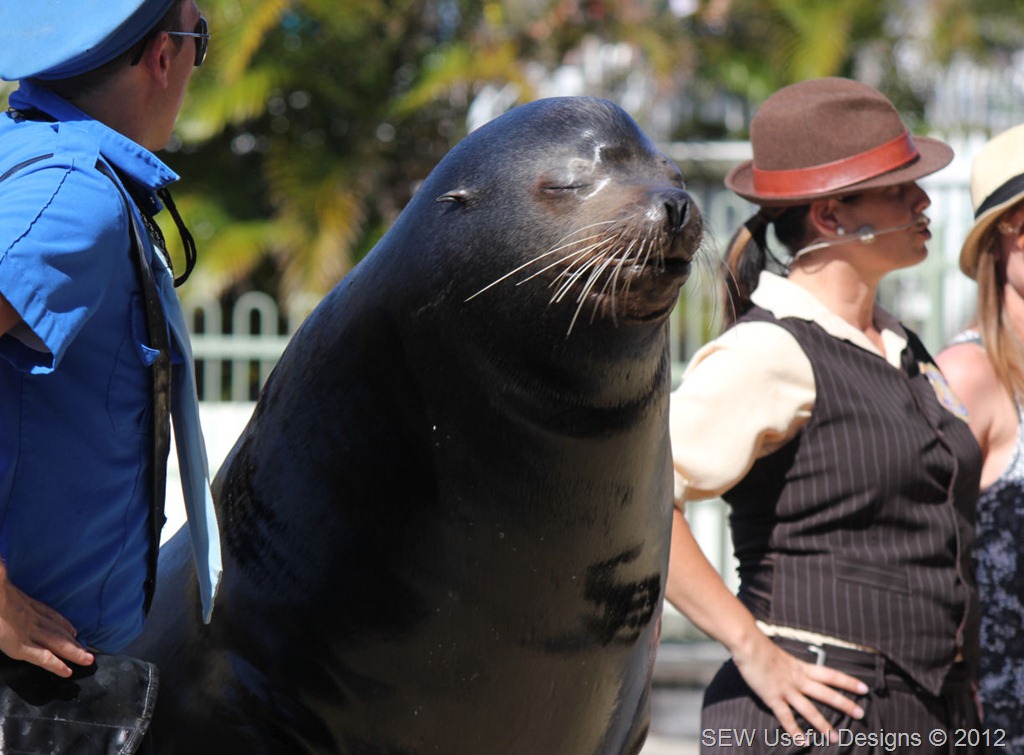 [Seaworld%2520sealion%25201%2520small%255B7%255D.jpg]
