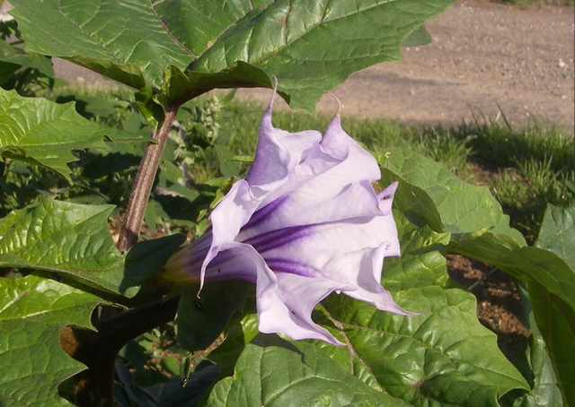 [image%255B66%255D.png]