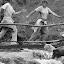 Breezy &amp; Alun river crossing
http://www.skibreezy.com