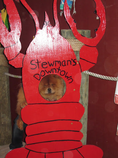 It looks like the table has turned and it's you who's been eaten by a giant a lobster!!!