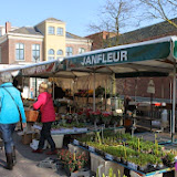 IMG_6531.jpg