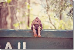 Chewbacca-sitting-on-a-sign