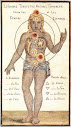 A Modern Revival Of Ancient Wisdom