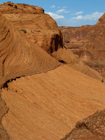 Canyon de Chelly National Monument White House Trail (14)