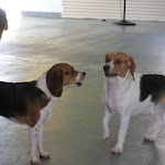 DSCN2533.jpg
