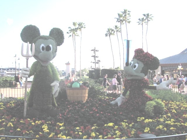[Florida%2520vacation%2520Epcot%2520topiary%2520Mickey%2520and%2520minnie2%255B3%255D.jpg]