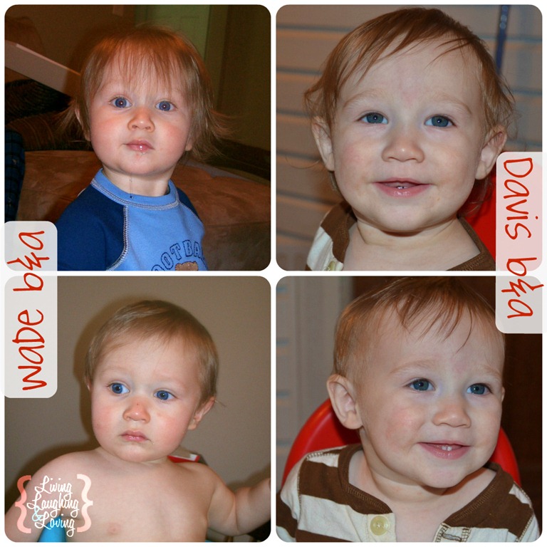 [wade%2520and%2520davis%2520comparison%255B3%255D.jpg]