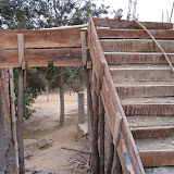 2010
