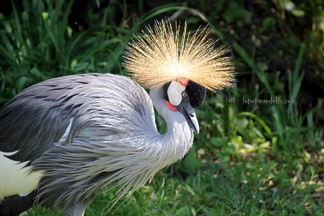 [IMG_7123_watermark4.jpg]