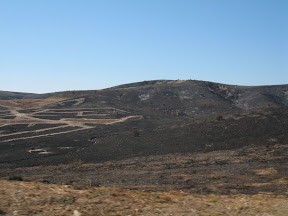 Camp Pendleton had some serious wildfires the week before and there was evidence everywhere.