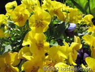 20120513 012