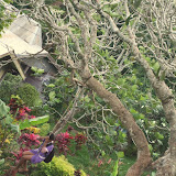 DSCF6496.JPG