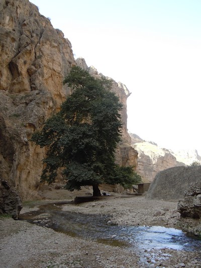DSCN4043.jpg