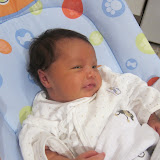 First two weeks - August 25, 2011