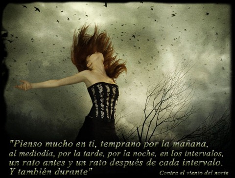 contra el viento del norte