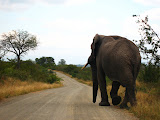 South Africa - 145.JPG