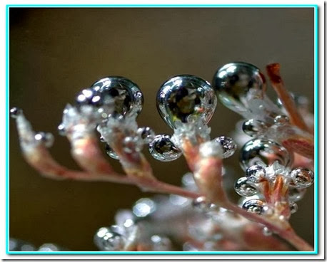 Gota de paciência Gota de paciência