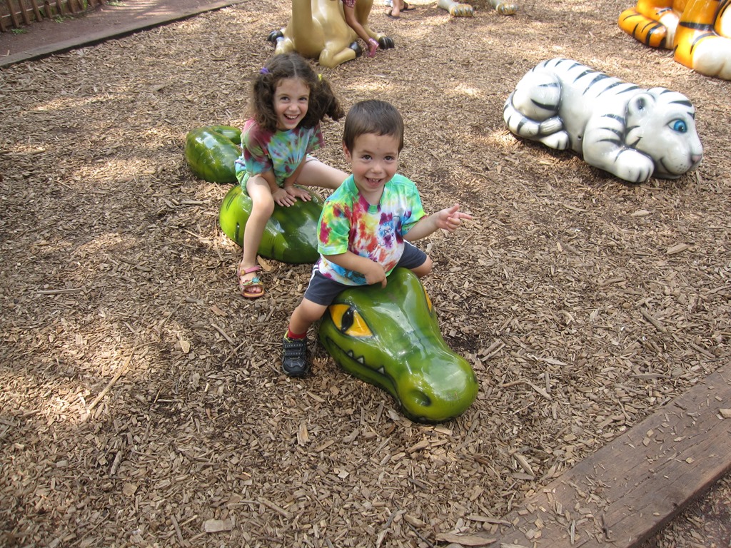 [Picture%2520138%255B3%255D.jpg]