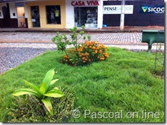 jardim-003