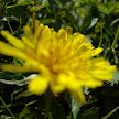 DSC00424.JPG