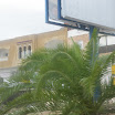 Tunesien2009-0402.JPG