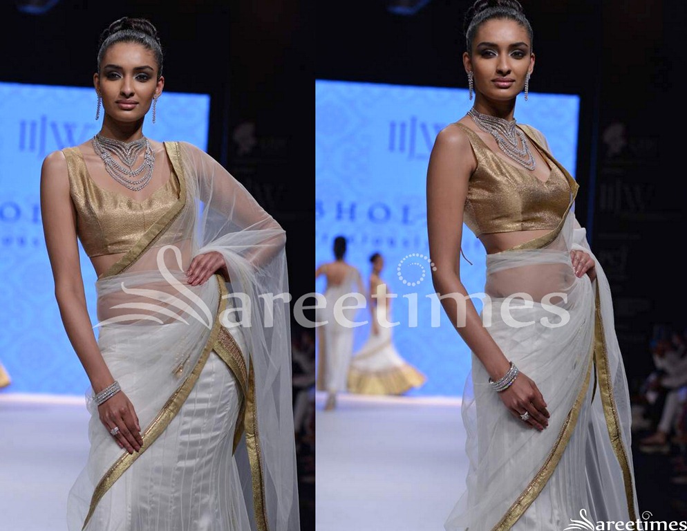 [Day_2_IIJW_White_Net_Saree%255B4%255D.jpg]
