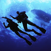 diving medicine (7).JPG