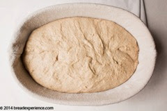 sprouted-kamut-flour-bread-1-20 sprouted-kamut-flour-bread-1-20
