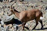DSC_0201.JPG